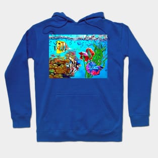 Colorful Aquarium Hoodie